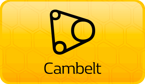 RenaultSport Cambelts