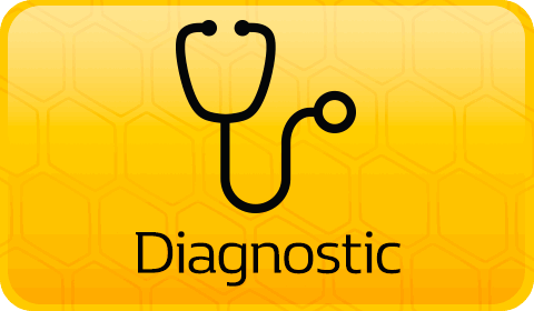 RenaultSport Diagnostics