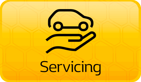 RenaultSport servicing